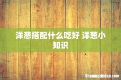 洋葱搭配什么吃好 洋葱小知识