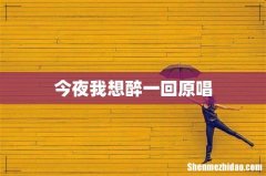 今夜我想醉一回原唱