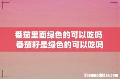 番茄里面绿色的可以吃吗 番茄籽是绿色的可以吃吗