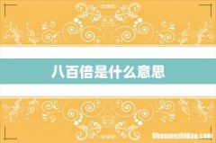 八百倍是什么意思