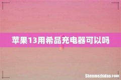 苹果13用希品充电器可以吗