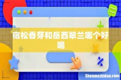 宿松香芽和岳西翠兰哪个好喝