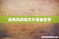 去有风的地方片尾曲名字