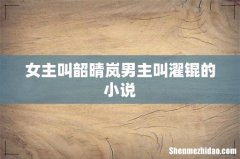 女主叫韶晴岚男主叫濯锟的小说