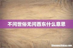 不问世俗无问西东什么意思