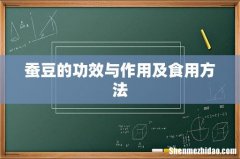 蚕豆的功效与作用及食用方法
