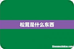 松茸是什么东西