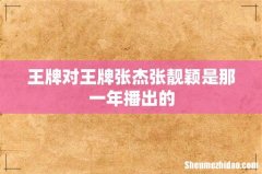 王牌对王牌张杰张靓颖是那一年播出的