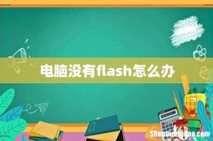 电脑没有flash怎么办