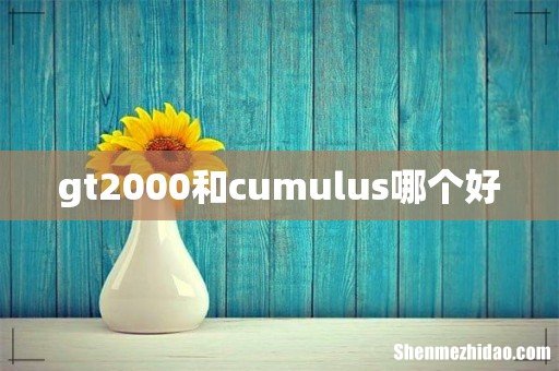 gt2000和cumulus哪个好