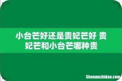 小台芒好还是贵妃芒好 贵妃芒和小台芒哪种贵