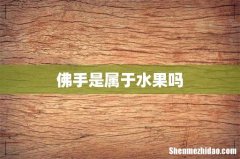 佛手是属于水果吗