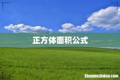 正方体面积公式