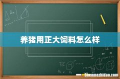 养猪用正大饲料怎么样