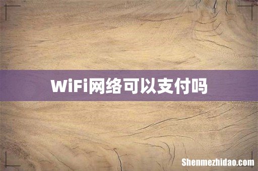 WiFi网络可以支付吗