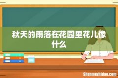 秋天的雨落在花园里花儿像什么