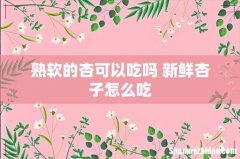 熟软的杏可以吃吗 新鲜杏子怎么吃
