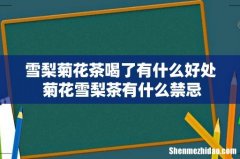 雪梨菊花茶喝了有什么好处 菊花雪梨茶有什么禁忌