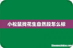 小松鼠找花生自然段怎么标