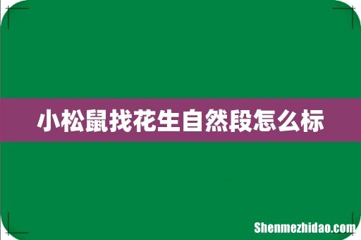 小松鼠找花生自然段怎么标