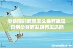 桑葚酿的酒里怎么会有蛆虫 自制桑葚酒发现有虫还能喝吗
