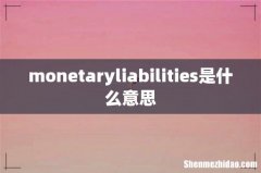 monetaryliabilities是什么意思