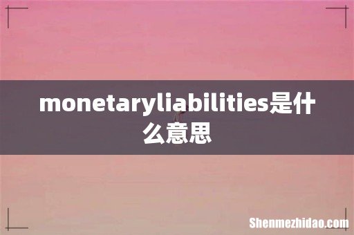 monetaryliabilities是什么意思