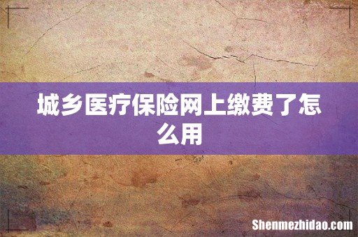 城乡医疗保险网上缴费了怎么用