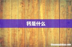 钙是什么