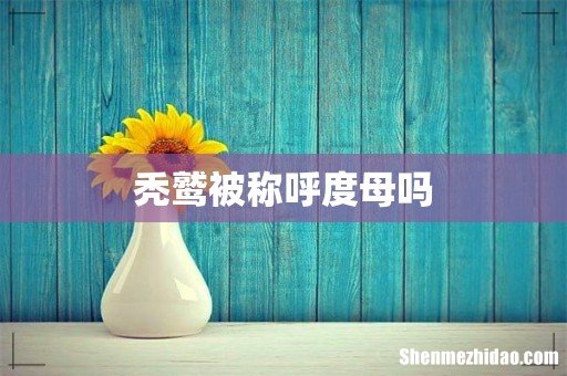 秃鹫被称呼度母吗