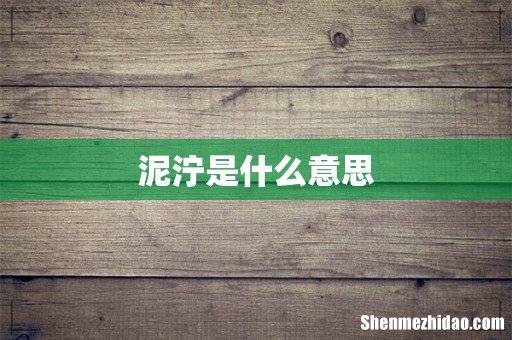 泥泞是什么意思