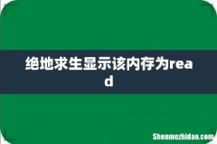 绝地求生显示该内存为read