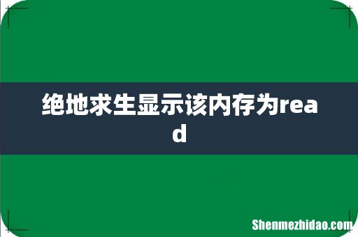 绝地求生显示该内存为read