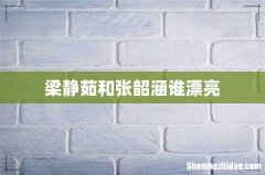 梁静茹和张韶涵谁漂亮