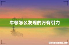 牛顿怎么发现的万有引力