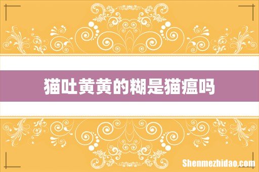 猫吐黄黄的糊是猫瘟吗
