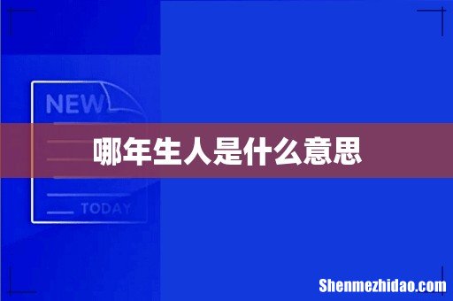 哪年生人是什么意思