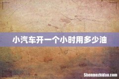 小汽车开一个小时用多少油