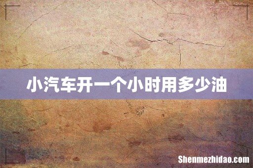 小汽车开一个小时用多少油