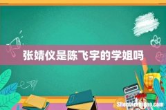 张婧仪是陈飞宇的学姐吗