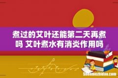 煮过的艾叶还能第二天再煮吗 艾叶煮水有消炎作用吗