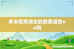 多米尼克领主的致意适合vn吗
