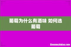 葡萄为什么有酒味 如何选葡萄
