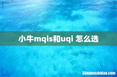 小牛mqis和uqi+怎么选