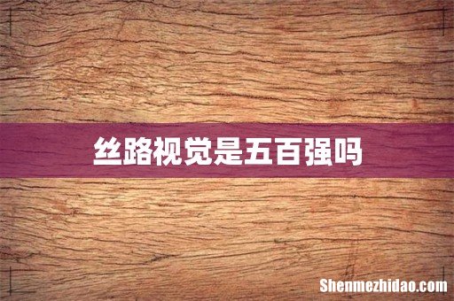 丝路视觉是五百强吗
