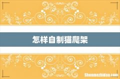 怎样自制猫爬架