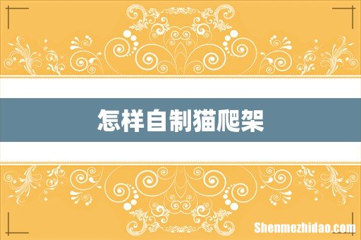 怎样自制猫爬架