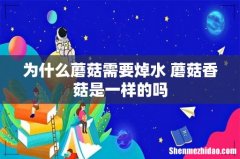 为什么蘑菇需要焯水 蘑菇香菇是一样的吗
