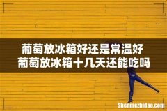 葡萄放冰箱好还是常温好 葡萄放冰箱十几天还能吃吗