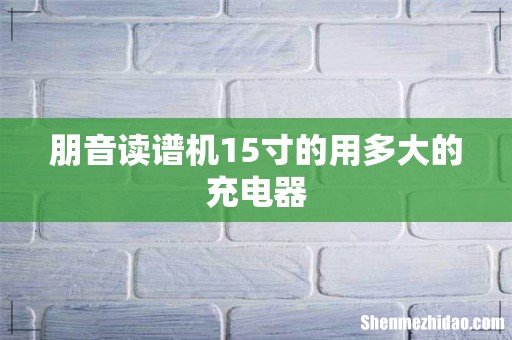 朋音读谱机15寸的用多大的充电器